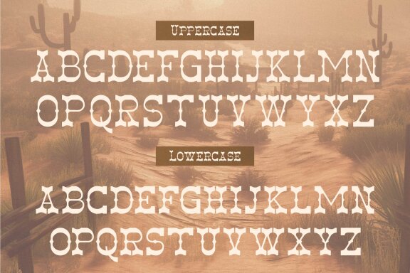 Aldest Tanigo | Western Slab Serif