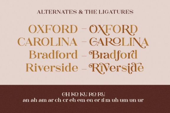 The Rankings Serif