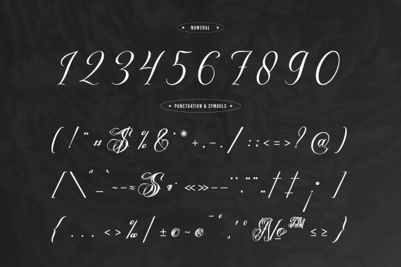 Bionley | Tattoo Script Font