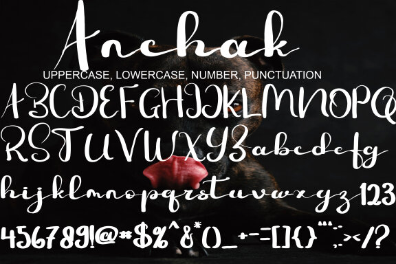 Anchak Free Script