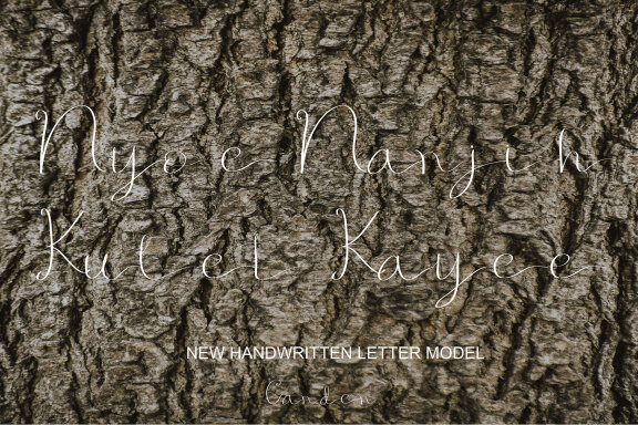 Aktuci Fantasi Free Script