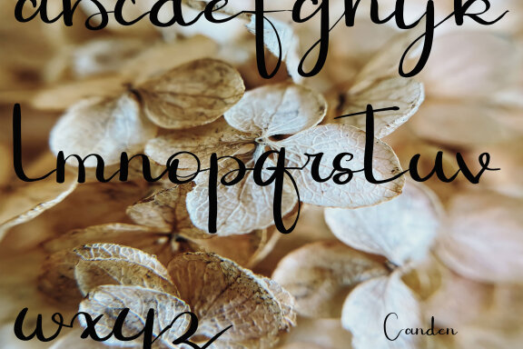 AKHUNTA JUANCIA Free Script