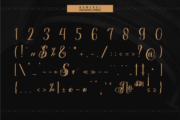 Stejita | Tattoo Script Font