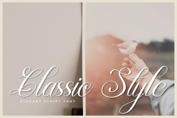 Mewskia | Modern Calligraphy Font