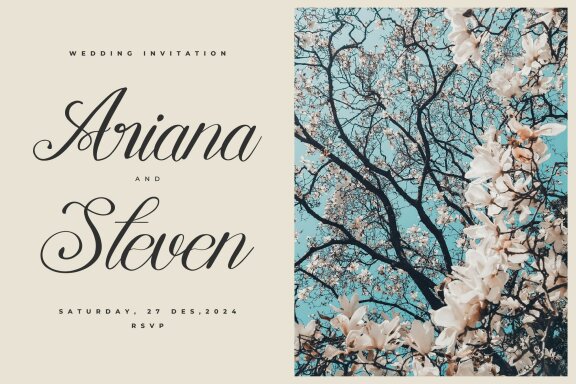 Mewskia | Modern Calligraphy Font