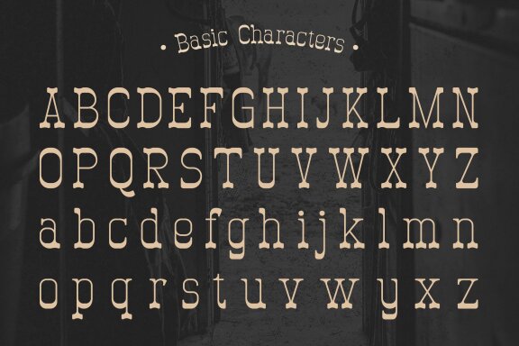 Nuvoboy | Western Slab Serif