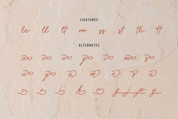 Methamory | Monoline Script Font