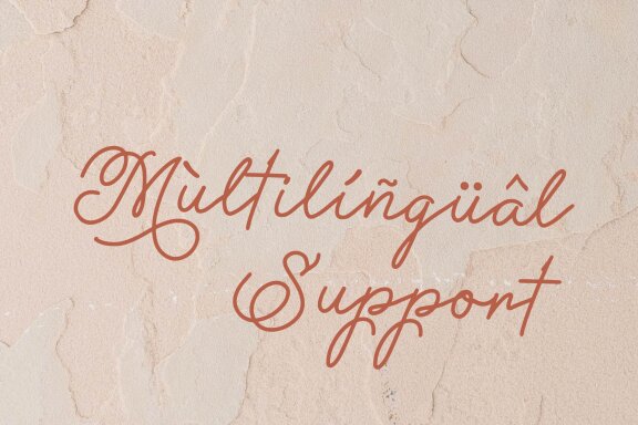 Methamory | Monoline Script Font