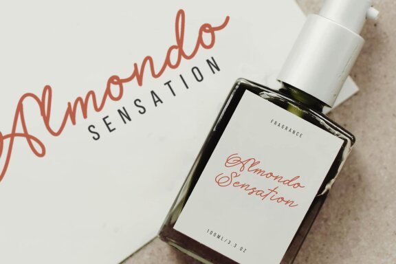 Methamory | Monoline Script Font