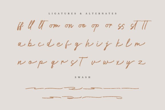 Leneora Seraphine | Brush Handwritten Font