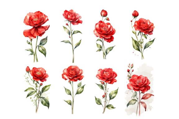 watercolor illustration of red flowers