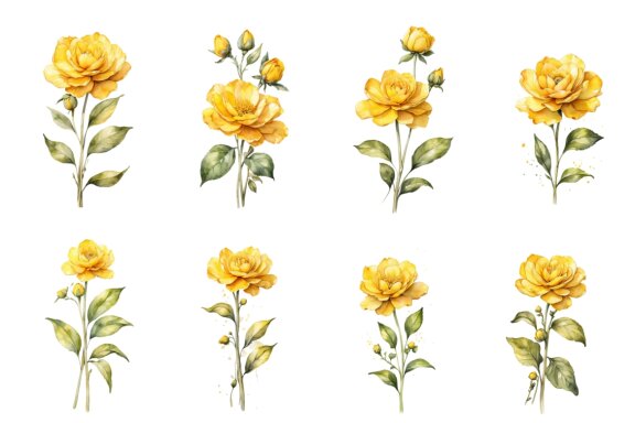 Watercolor illustration of yellow flower