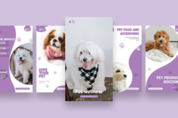 PetShop - Instagram Story Template