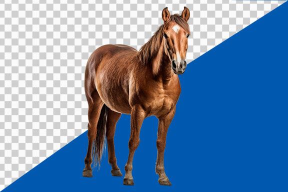 Horse on transparent background PNG image 