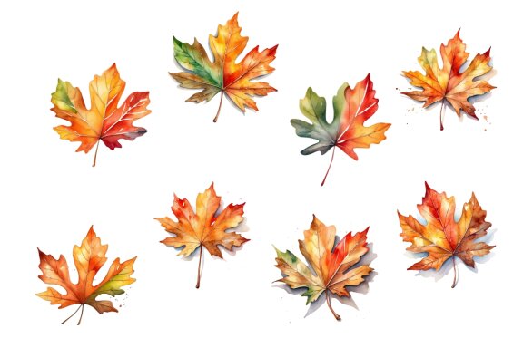 set of autumn leaves watercolor illustration