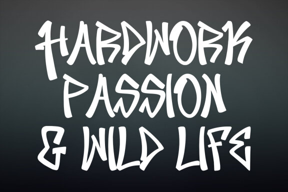 Zeettzy Graffiti Display Font