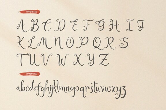 Bellina Seamy | Handwritten Chic Font