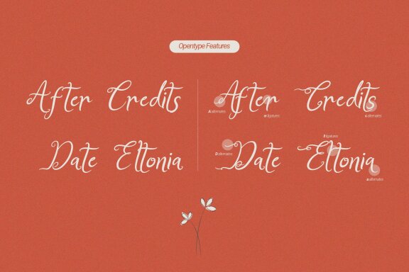 Bellina Seamy | Handwritten Chic Font