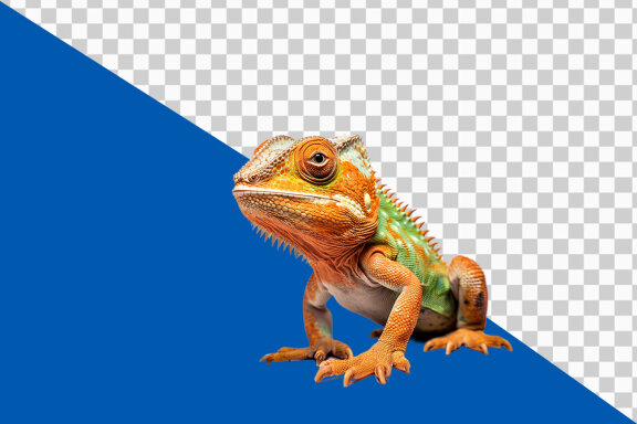 Iguana on transparent background PNG image 