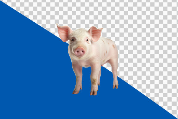 Pig on transparent background PNG image 