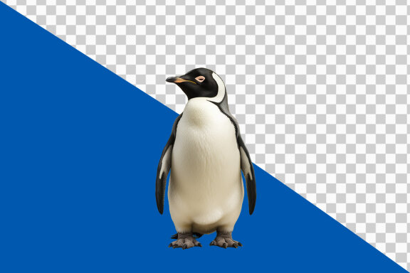 Penguin on transparent background PNG image