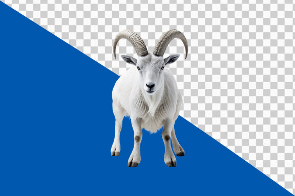 Mountain goat on transparent background PNG image