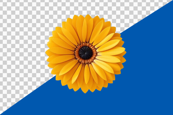 Yellow gerber daisy on transparent background PNG image