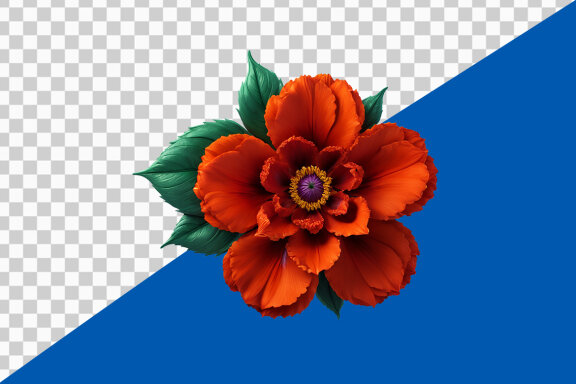 Red hibiscus flower on transparent background PNG image Free