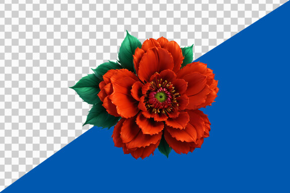 Red hibiscus flower on transparent background PNG image Free