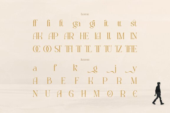 Dit Magi | Classy Elegant Serif