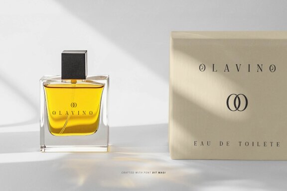 Dit Magi | Classy Elegant Serif