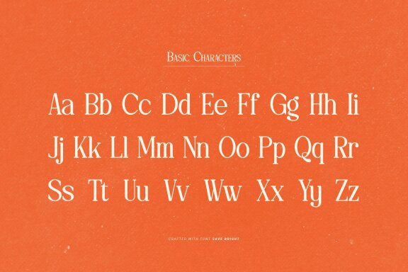 Save Bright | Classy Serif Font