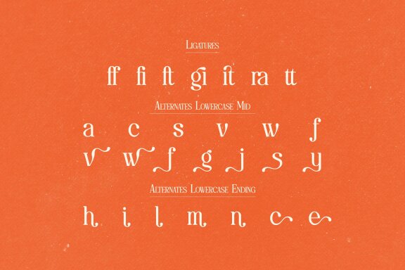 Save Bright | Classy Serif Font