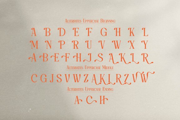 Save Bright | Classy Serif Font