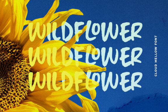 Cloud Mellow - Brush Handwritten