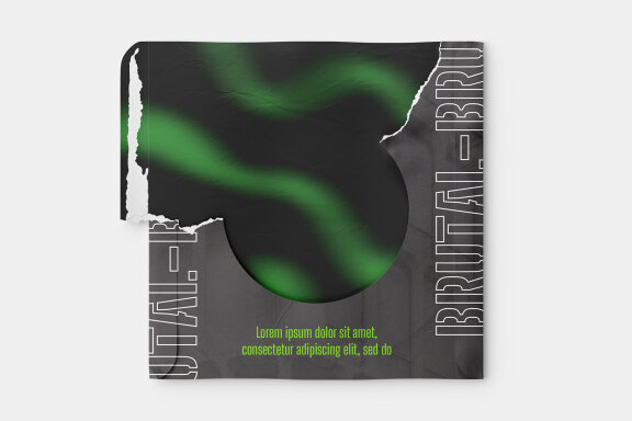 Vinyl Disc Mockup Set