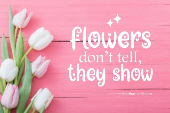 Dephilla Star FREE Font