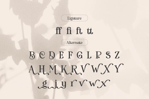 Davey Veretti | Classic Display Font