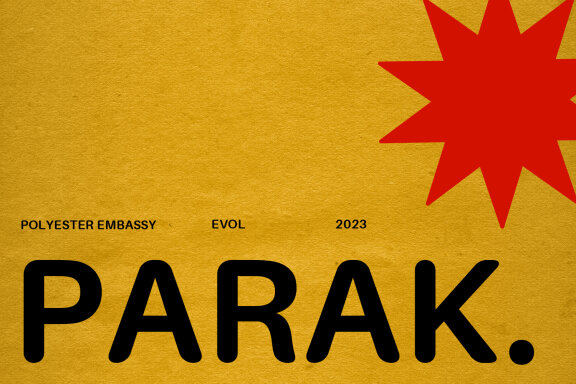 Polyester Embassy Rounded Sans Serif Font 