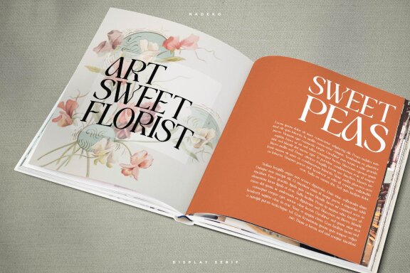 Nadeko | Display Serif