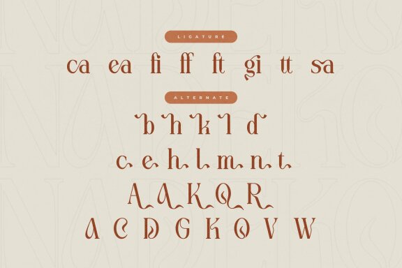 Nadeko | Display Serif