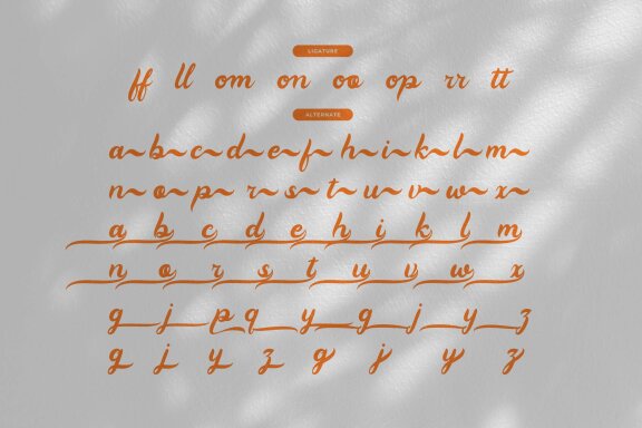 Mewtty | Hand Drawn Script Font