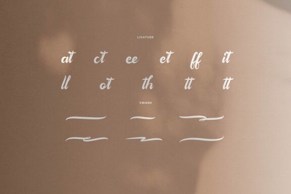 Famylia Holistika | Hand Drawn Script Font