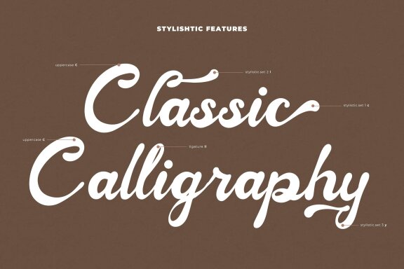 Nelistia Dellasty | Hand Draw Script Font