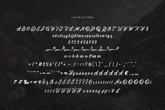 Sailors Batavia Beautiful Script Font