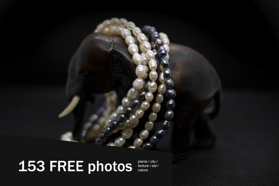 153 FREE Photos