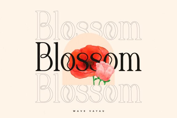 Wave Vayau | Display Serif Font