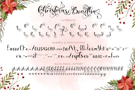 Christmas Bonitha