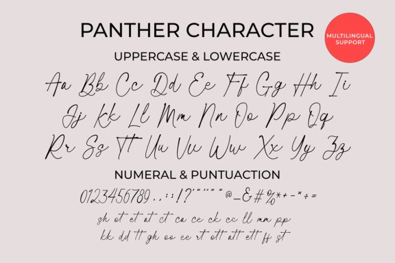 Santun | Signature Script Font