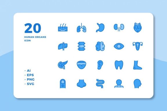 60 Human Organs Icons (3 Style)
